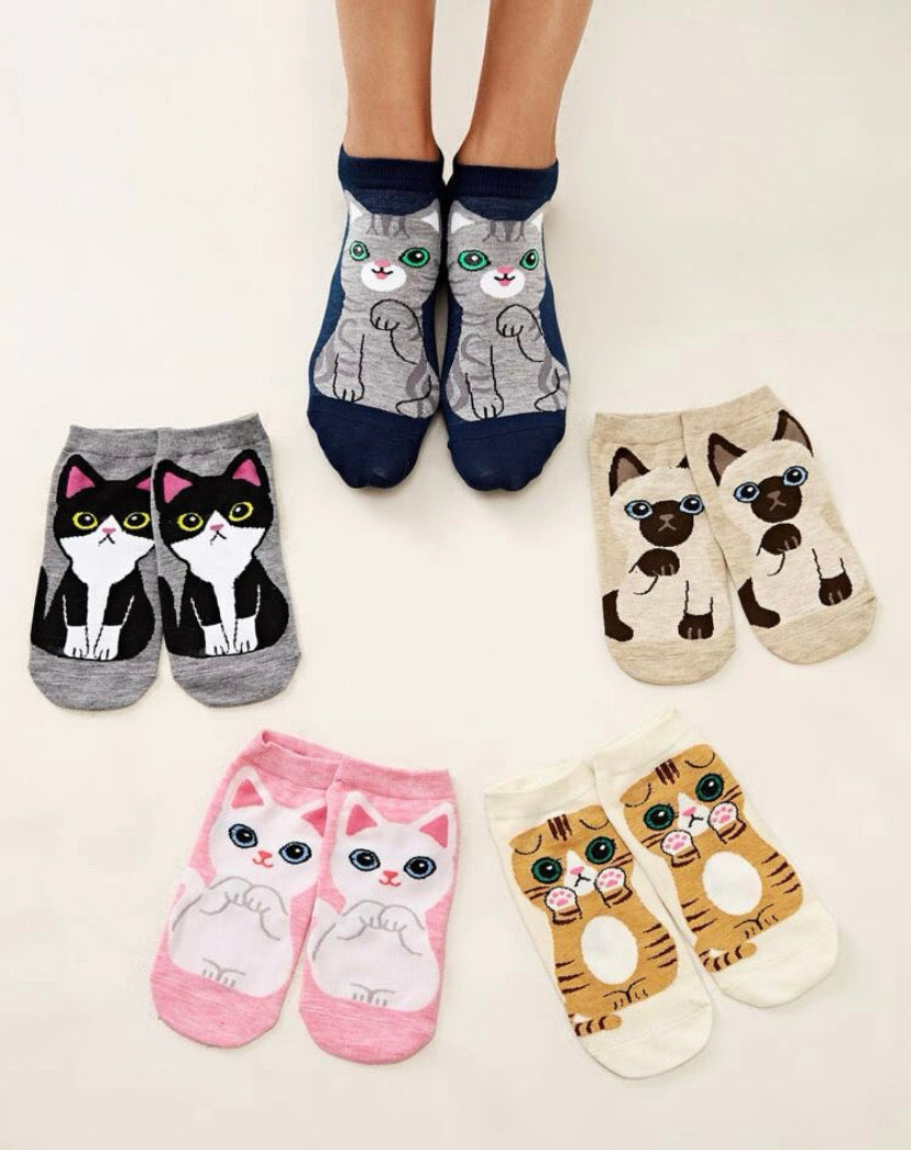 Calcetines divertidos para mujer con diseño de gato